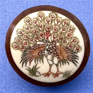 Displaying peacock woodbutton.