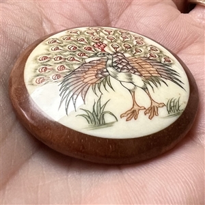 Displaying peacock woodbutton.