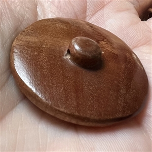 Displaying peacock woodbutton.