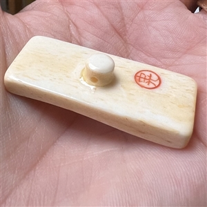 Rectangular bone button of insects.