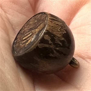 Embossed leather on wood button of a dog. 