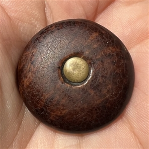 A 19th c. “Norwalk” pottery button.. 