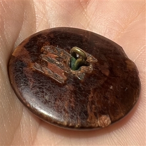 A 19th c. “Norwalk” pottery button.. 