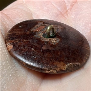 A 19th c. “Norwalk” pottery button.. 
