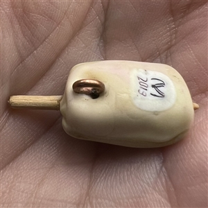 Mary Gaumond’s hot dog on a stick studio button.