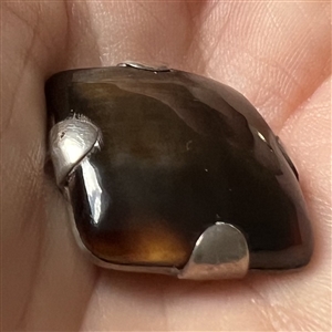 William Spratling, tortoise on sterling Mexican silver button.