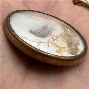 An 18th c. Habitat button of bird in foliage. 