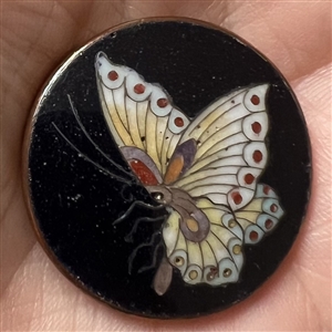 Scarce Cloisonné enamel butterfly button.