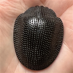 VERY RARE extra large sculptural black glass realistic scarab button.