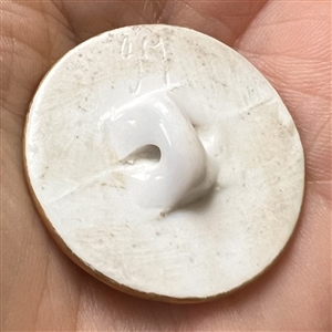 Lovely porcelain button of courting couple with rococo border.