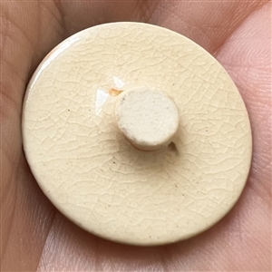 Satsuma button of a rushing, wild boar.