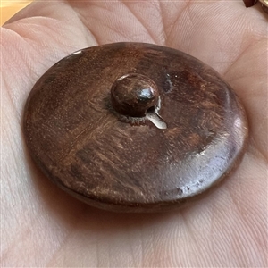 Monkey with turnip wood button.