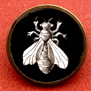 Monochrome Liverpool transfer button of a bee.