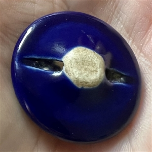 Fabulous Japanese Satsuma button of a blue dragon.