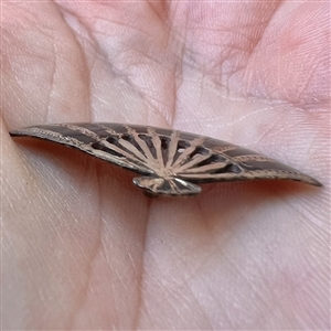 Niello silver button of a realistic fan.