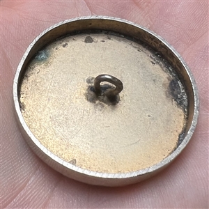 Fabulous creature on metal button.