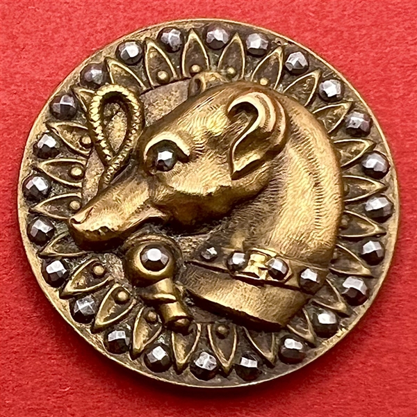 SCARCE - “Whippet Head” brass button of dog with riding crop.