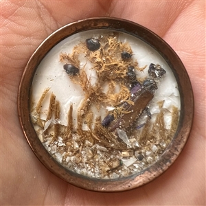 An 18th c. Habitat button of real bug and plants.