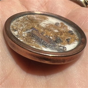An 18th c. Habitat button of real bug and plants.