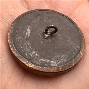 An 18th c. Habitat button of real bug and plants.