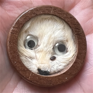 Studio button of “Ermine” with real ermine fur by Chris Shreve.