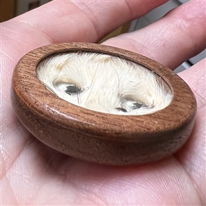 Studio button of “Ermine” with real ermine fur by Chris Shreve.