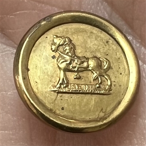 “Horse” Jacksonian button.