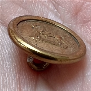 “Horse” Jacksonian button.