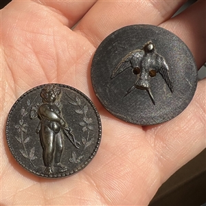 Two buttons of molded horn.