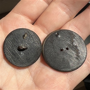 Two buttons of molded horn.