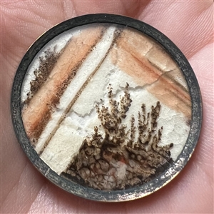 An 18th c. painting of foliage button.