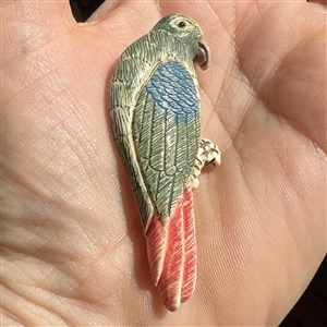 Extra large parrot natural material button.