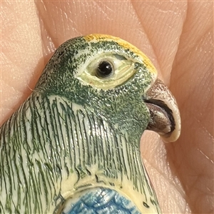 Extra large parrot natural material button.