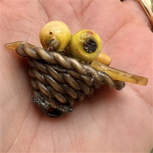 Two vintage Weeber buttons.