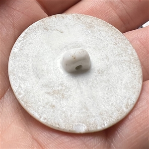 Porcelain button with floral design.