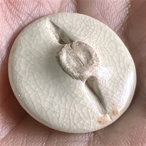 Japanese Satsuma button of gold and red dragon.