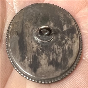 Reverse painted blue bird button