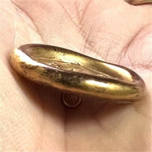 Bimini button of a horse's head.