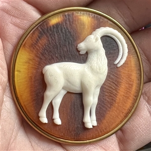 Glass (?) in metal button of a mountain goat.