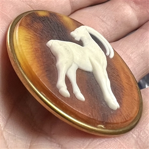 Glass (?) in metal button of a mountain goat.
