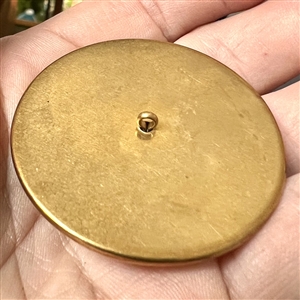 Glass (?) in metal button of a mountain goat.