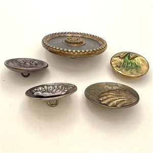 Five metal buttons of shells.