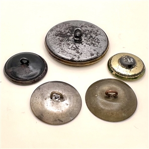 Five metal buttons of shells.
