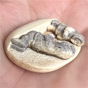 Scarce! Carved natural material studio button of an Eskimo adult and child.