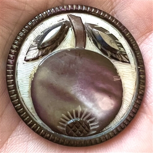 19th c. Carved and dyed shell button of fruit (pomegranate?) and leaves.