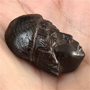 Wood realistic button of a European man’s head.