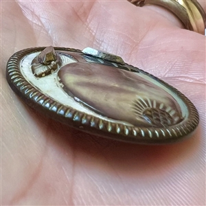 19th c. Carved and dyed shell button of fruit (pomegranate?) and leaves.