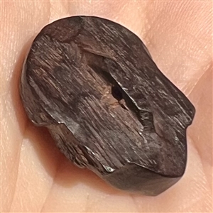 Wood realistic button of a European man’s head.