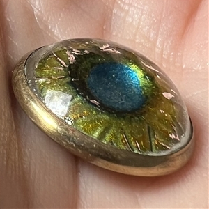 Glass in metal “peacock eye” button.