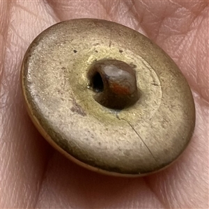 Glass in metal “peacock eye” button.